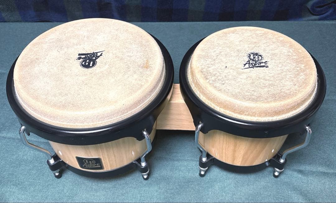 LP Aspire ボンゴ パーカッション