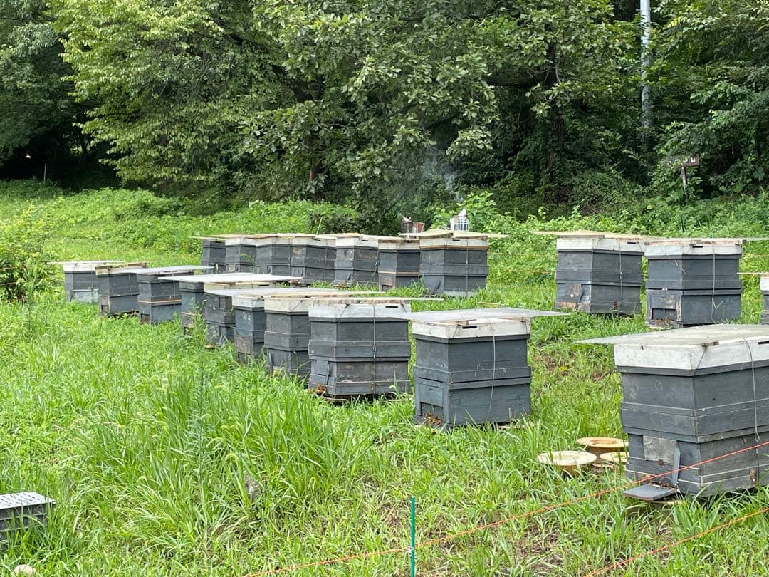 国産〈信州産〉天然はちみつ　新蜜【りんご】2【アカシア】8セット　各300g