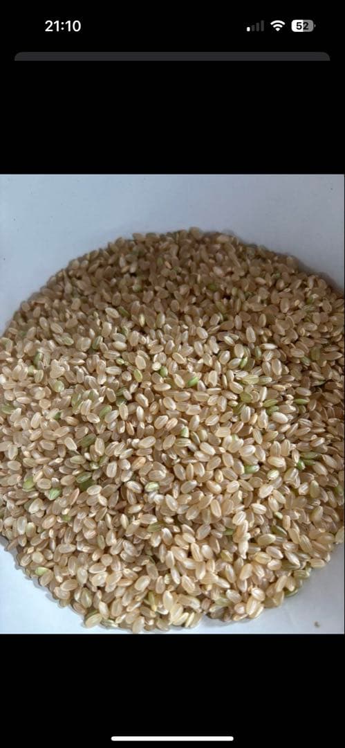 令和7年度　会津産コシヒカリ