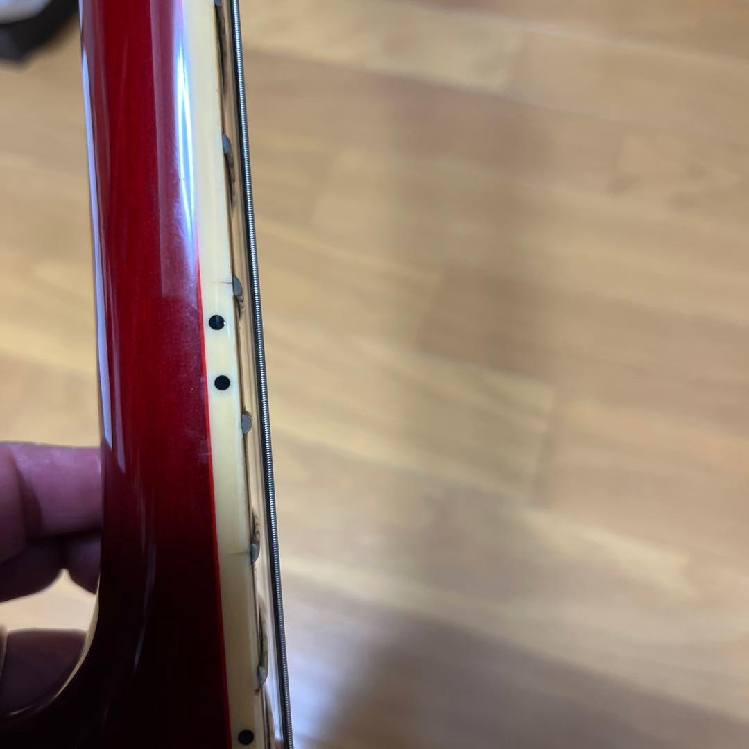 Burny レスポール