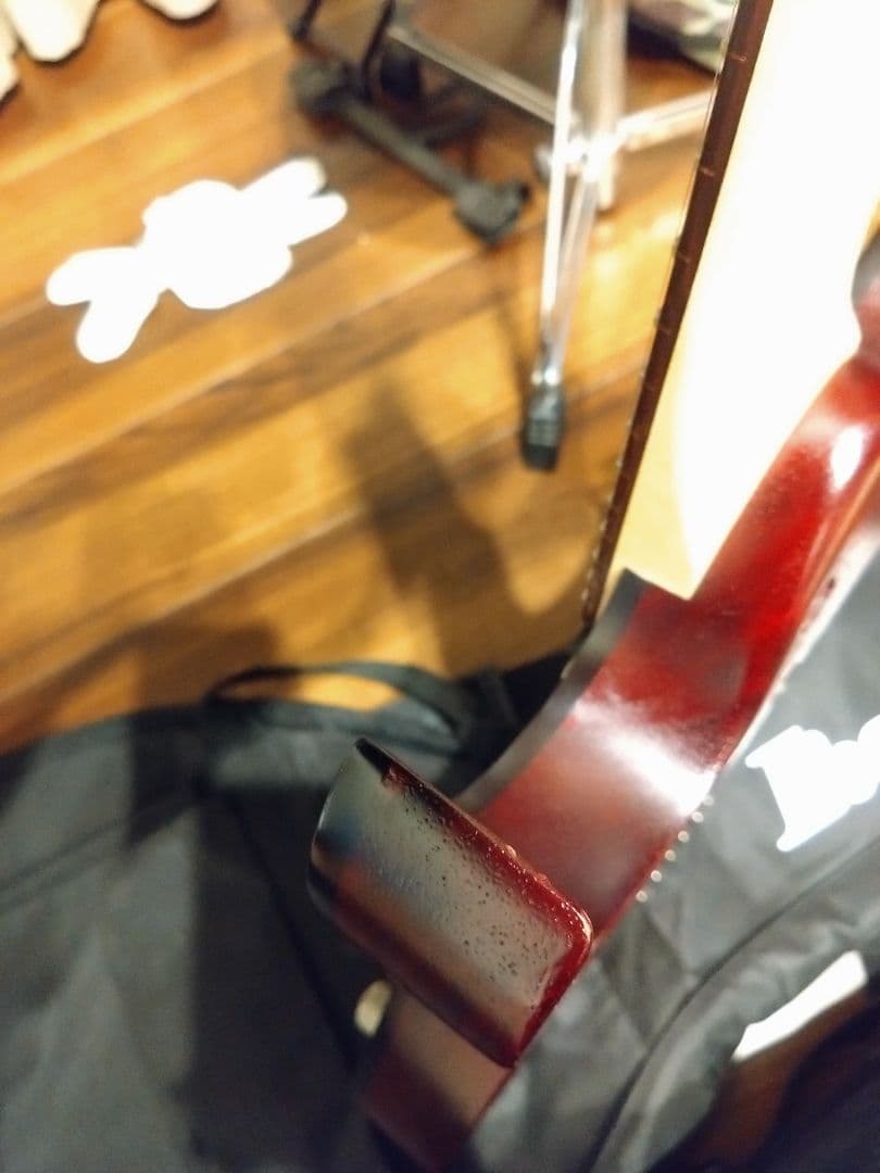 Ibanez RG421PB　軽量エレキギター