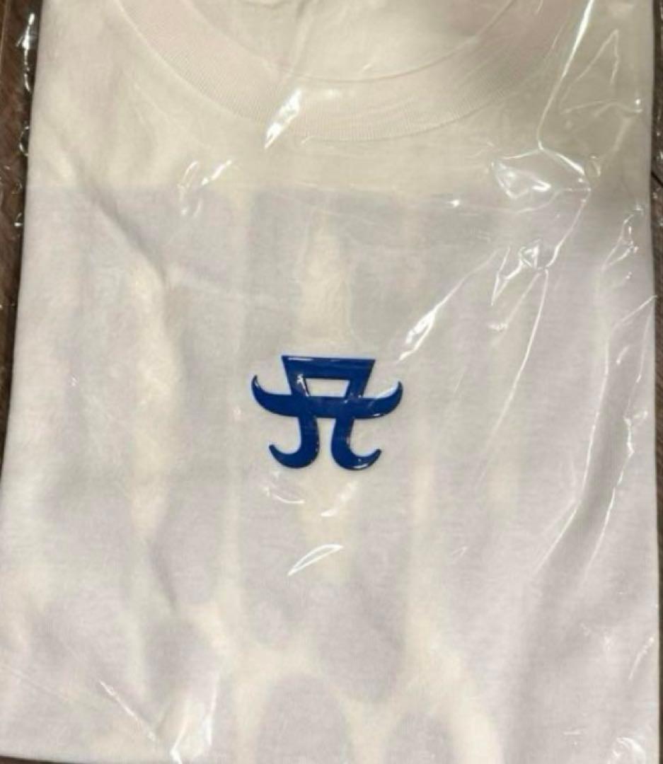 浜崎あゆみ 2025サマーグッズ Tシャツ（M）