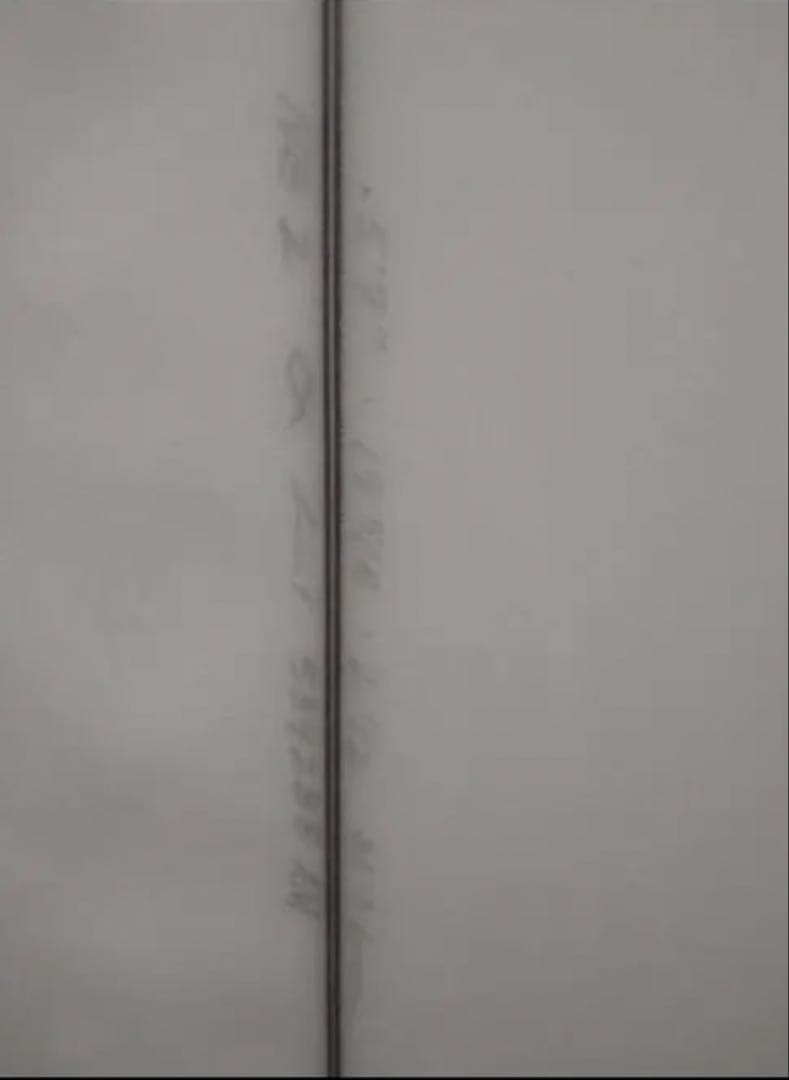 チャネルアイランズ　ネックベアード2