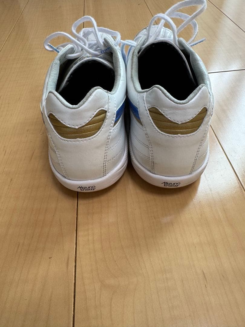 モレリア　サラ　ジャパン　イン　MIZUNO ENERZY 25.5cm