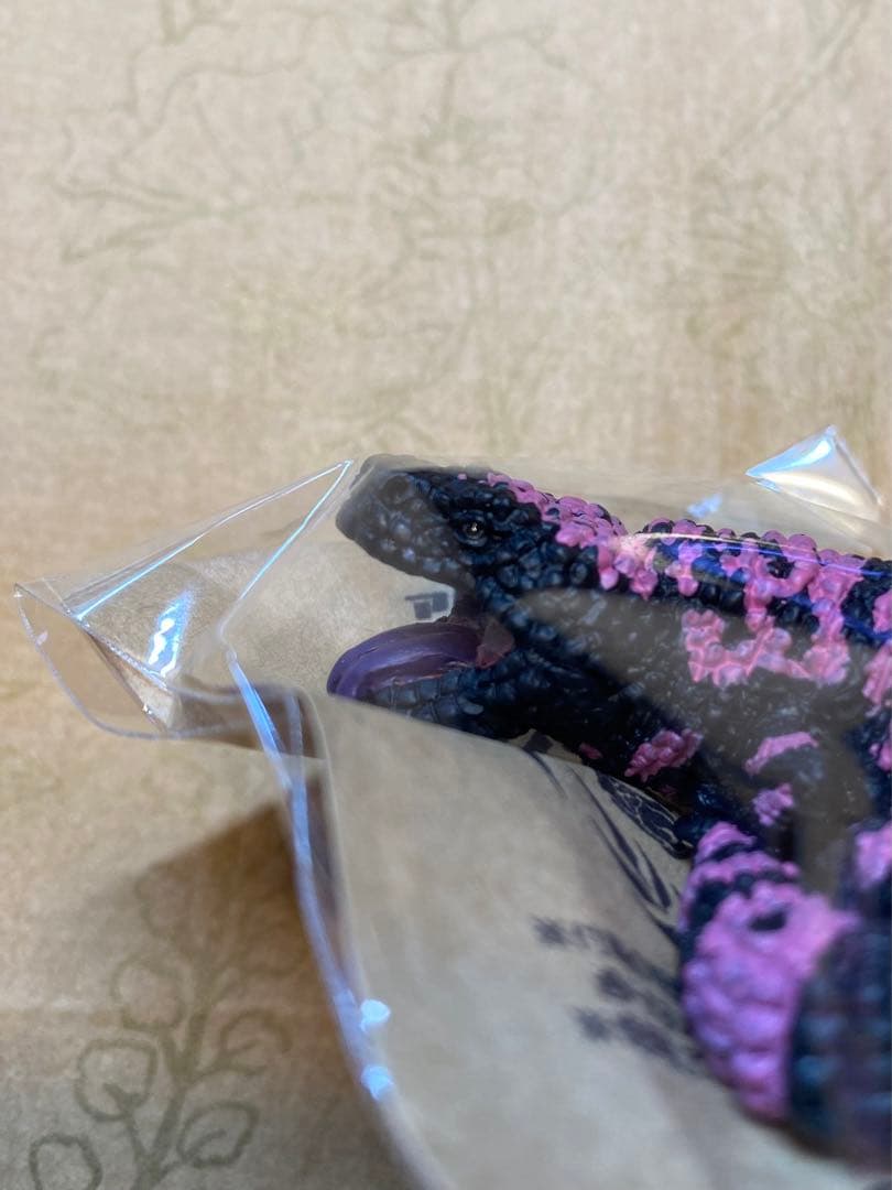 【未開封】アメリカドクトカゲ　根付