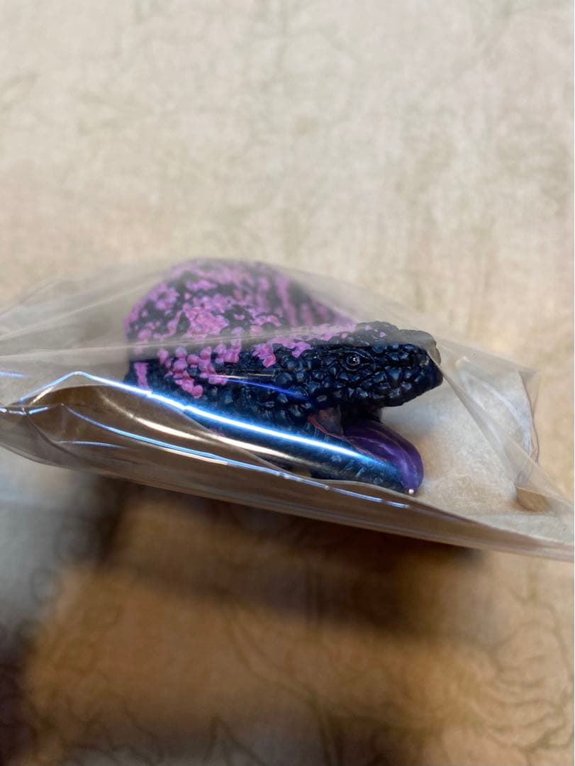 【未開封】アメリカドクトカゲ　根付