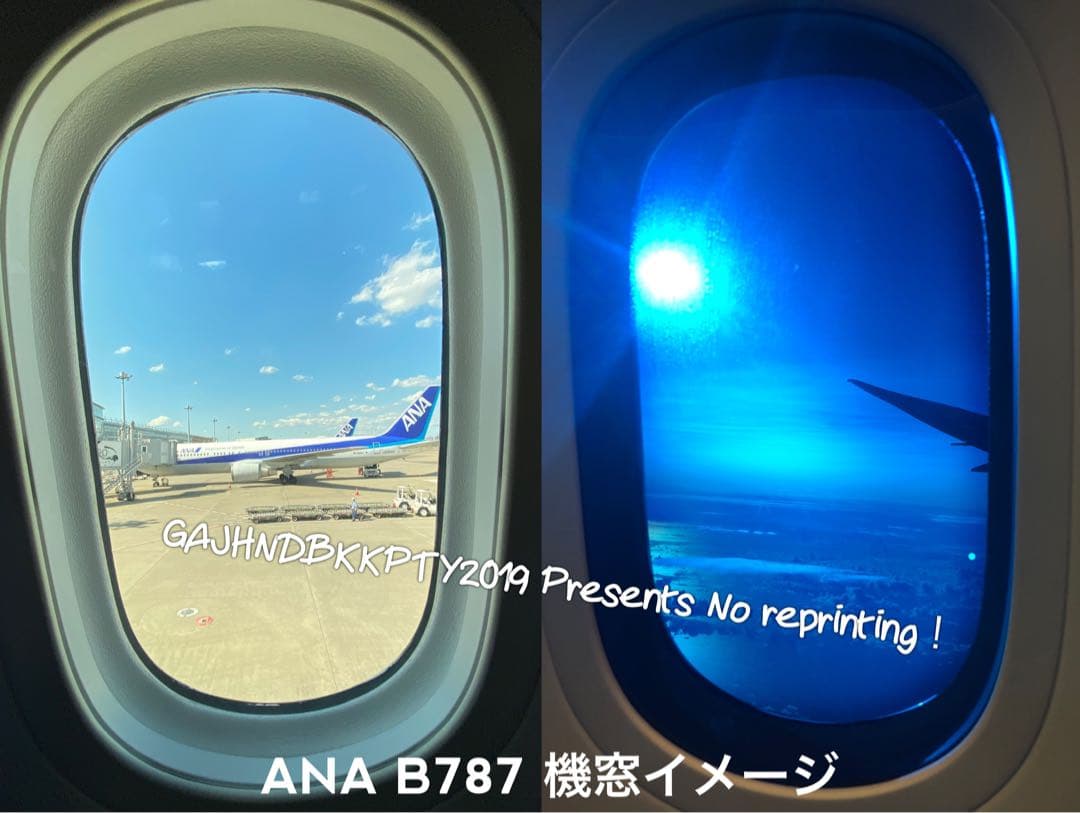 貴重 ANA B 787 客室 窓 実機取り卸し 機窓 プレート フォトスタンド