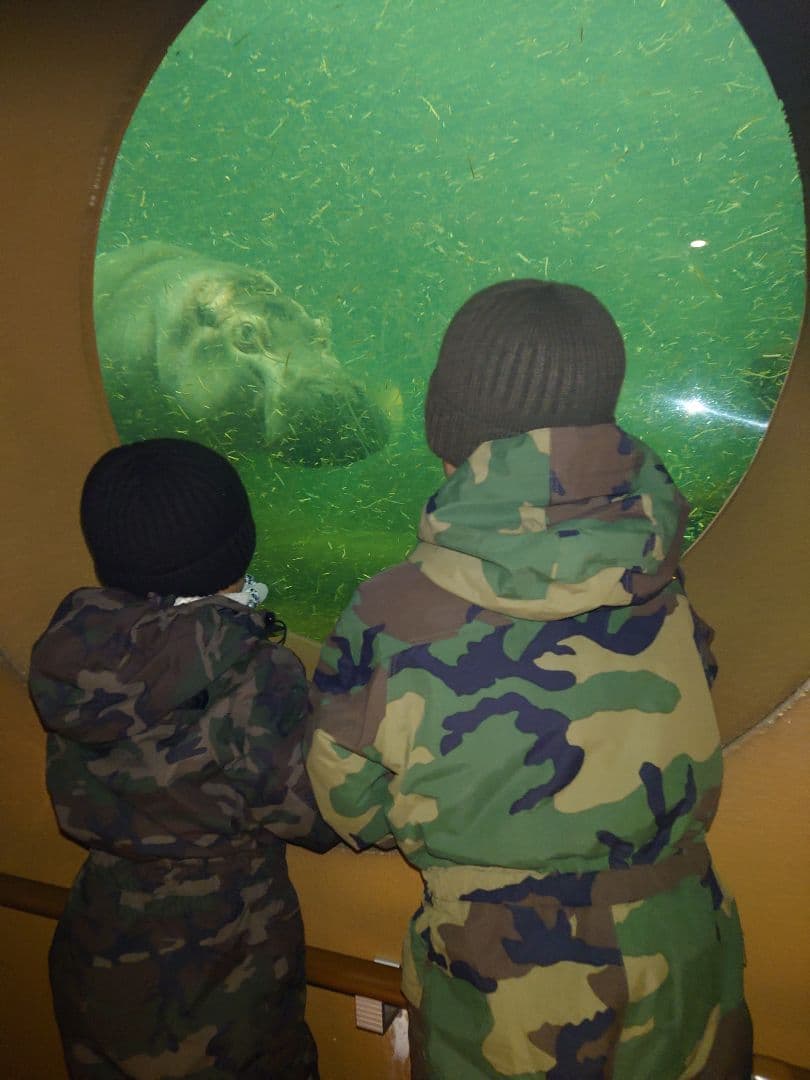 THE NORTH FACE スキーウェア　110cm