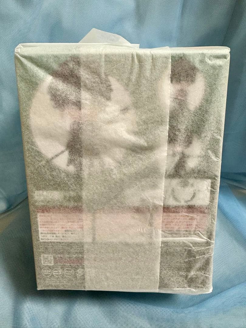 【特典色紙付き】　ねんどろいど　崩壊:スターレイル 丹恒