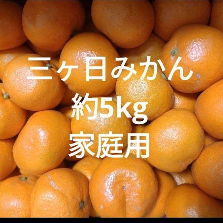 【専用】お茶、みかん