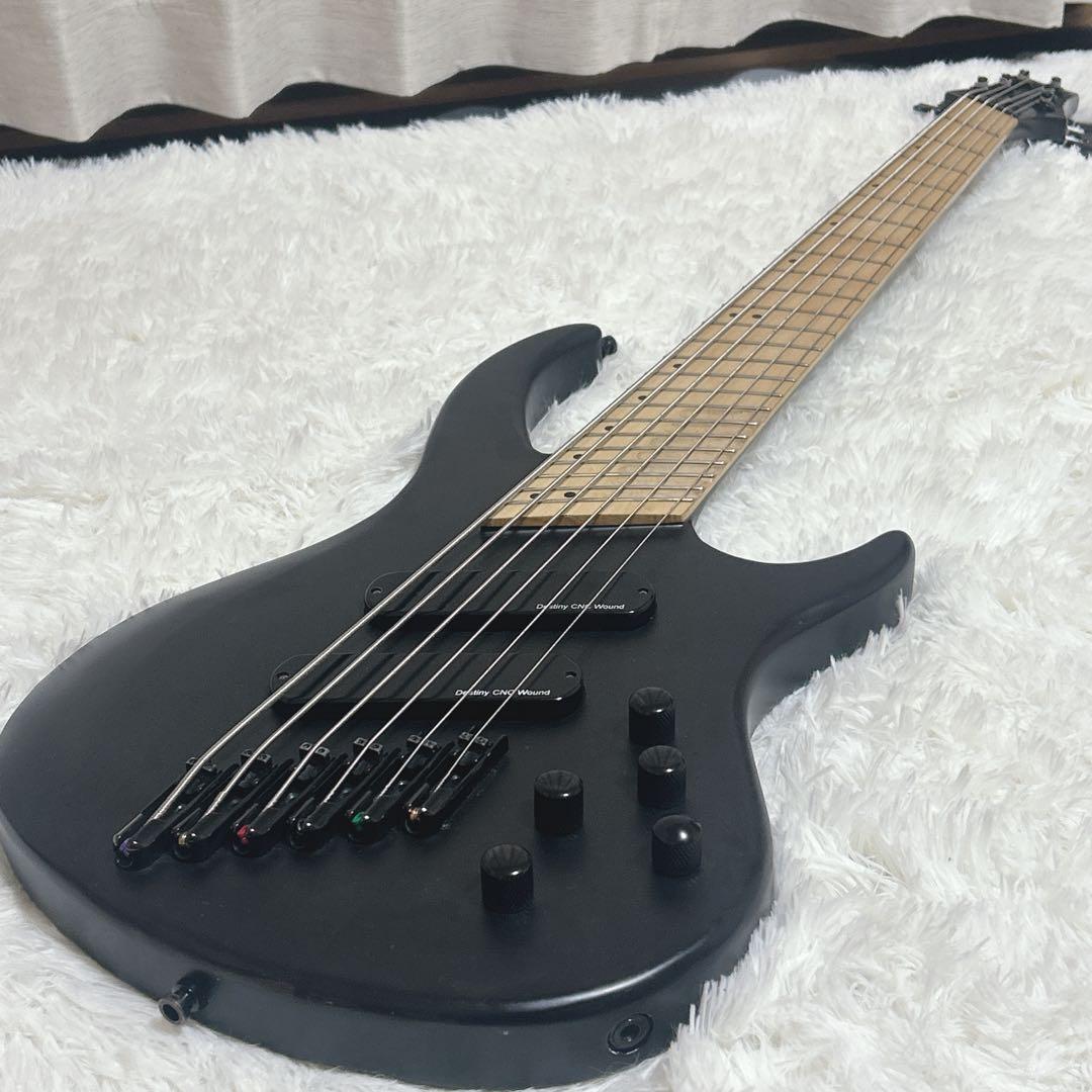 希少　6弦ベース　ベース　6弦 iyv オーダー　カスタム