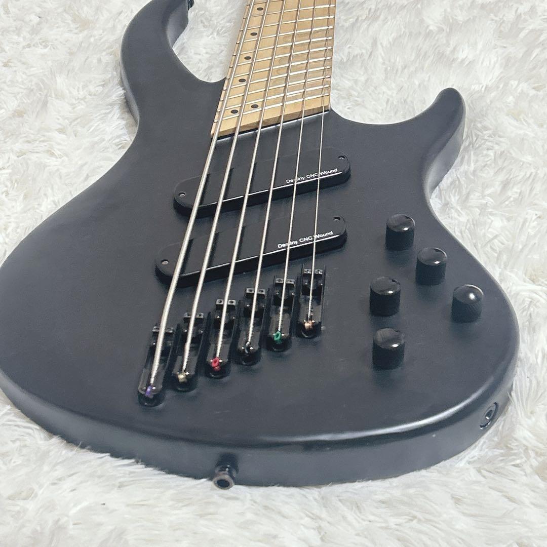 希少　6弦ベース　ベース　6弦 iyv オーダー　カスタム