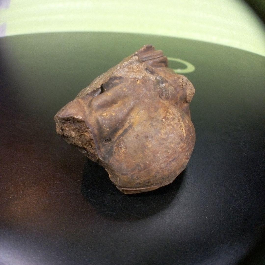 三葉虫　化石　fossil　ボリビア　trilobite　海生動物　三葉虫識別③