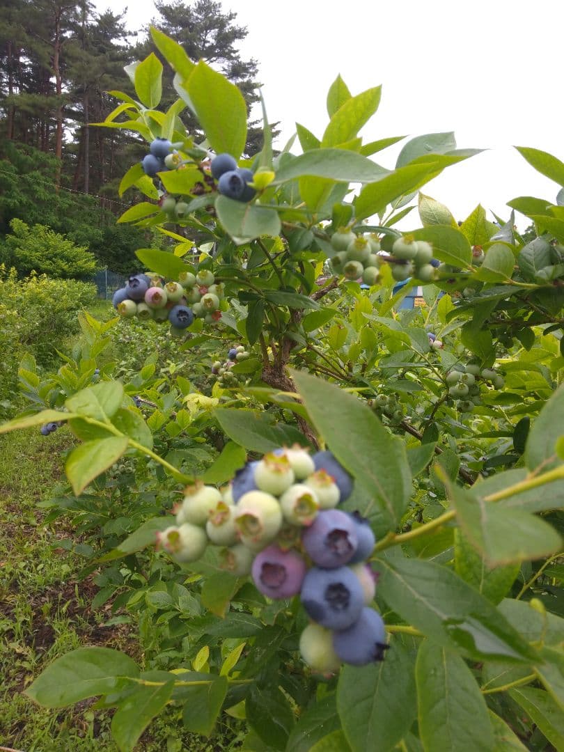 sa-★♦★♦☀他の方は不可