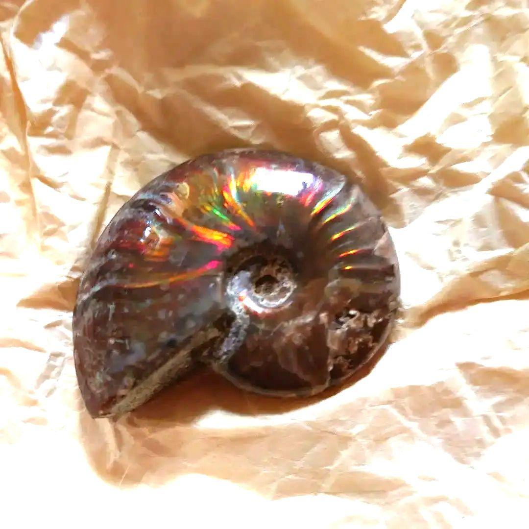 アンモナイトオパール