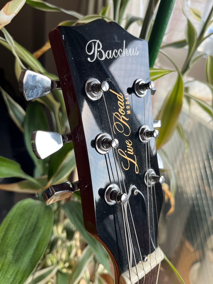 ★超美品★Bacchus/バッカス BLP-STD ZB/HB GT