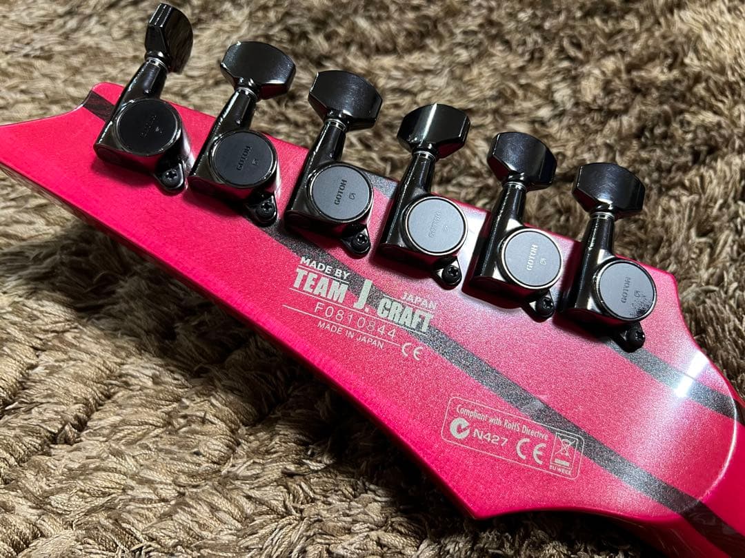 Ibanez RGT320 プレステージ　激レア！フジゲン製！