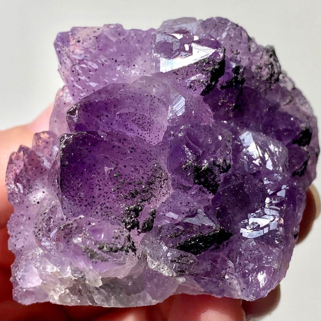 ヤシの実様　お受け取りまでのご確認用ページ