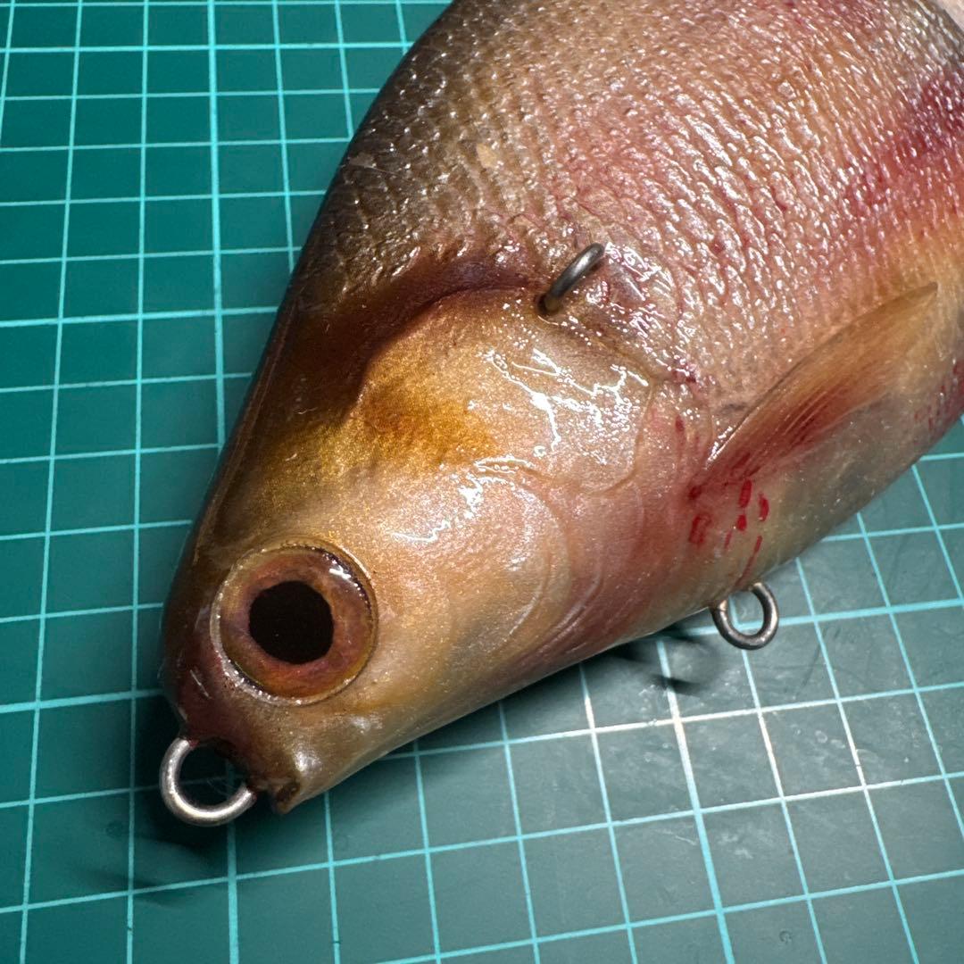 日本未発売 新品 Monster Money Shad 1 ブラッディーシャッド