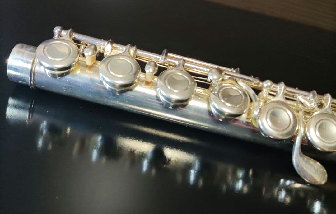 YAMAHA フルート YFL-221 廃盤 ケース バッグ 　部活　サークル