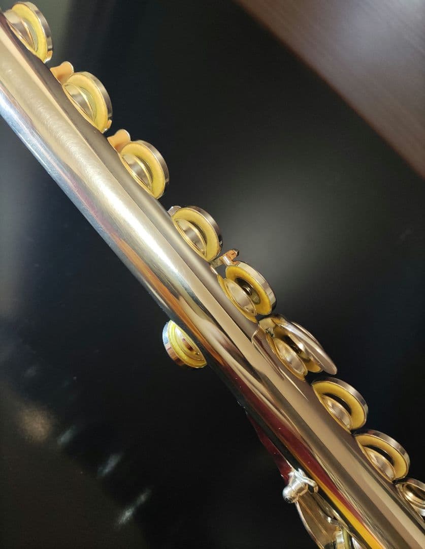 YAMAHA フルート YFL-221 廃盤 ケース バッグ 　部活　サークル