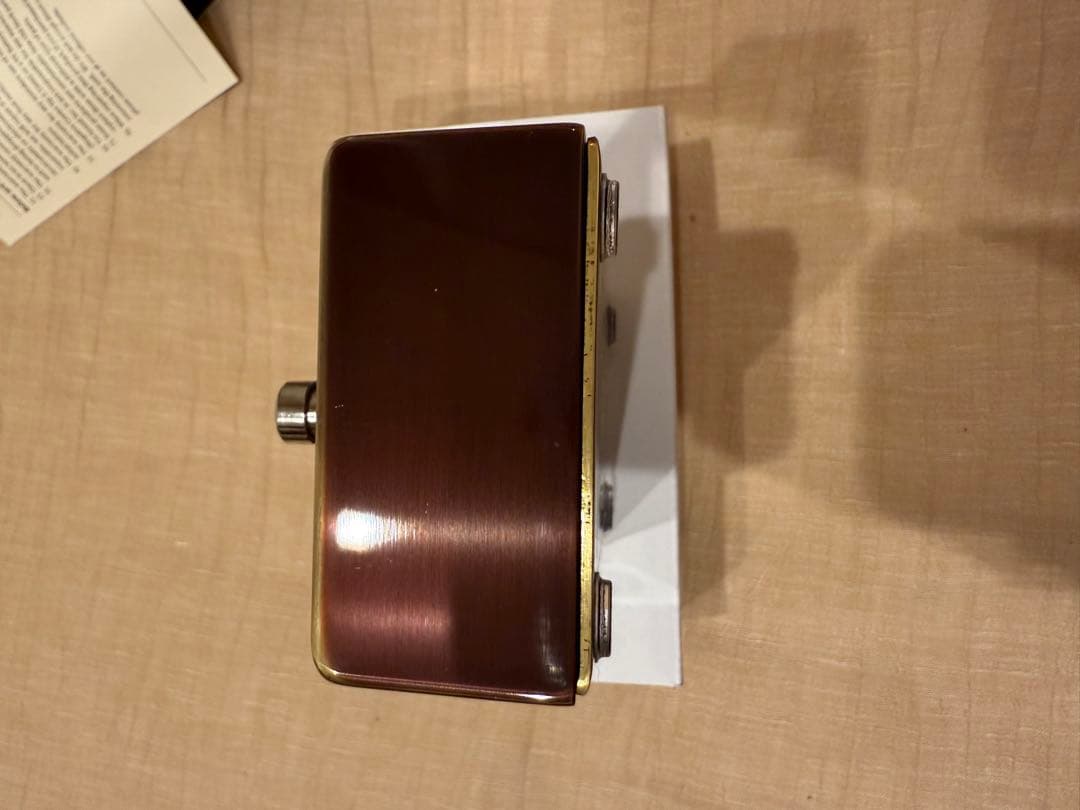 ギター VEMURAM Budi g