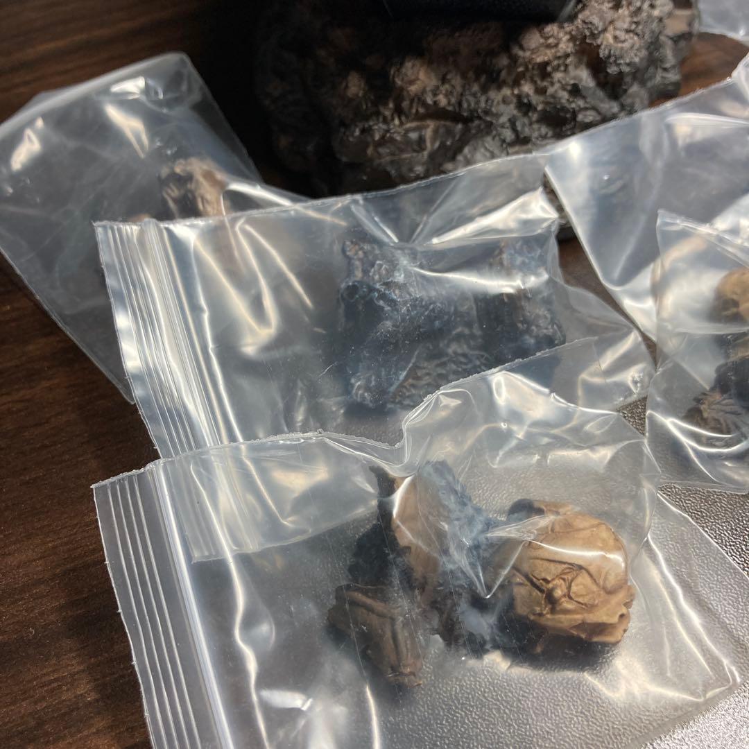 仮面ライダー クウガ 真骨彫 石碑 石棺 古代の戦士