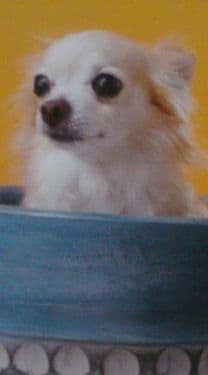 琉球グラス5点セット再出品の際気づいたら教えてください