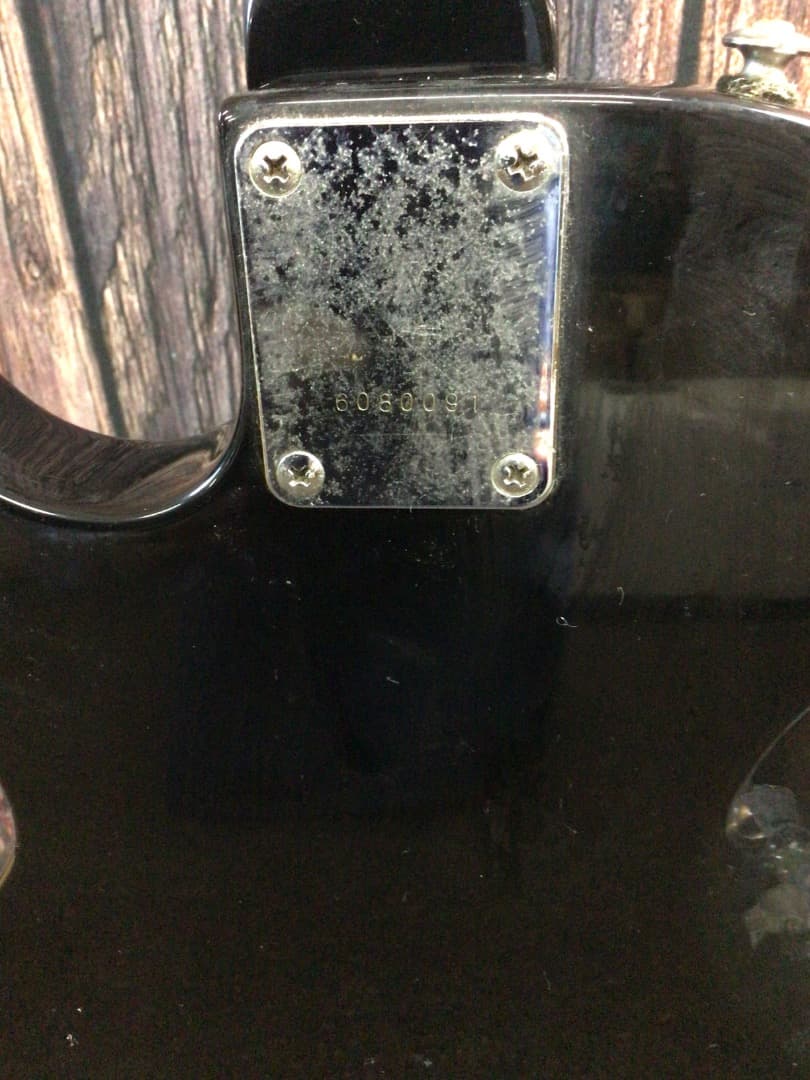 Grass Roots グラスルーツ G-I-48LP INORANモデル