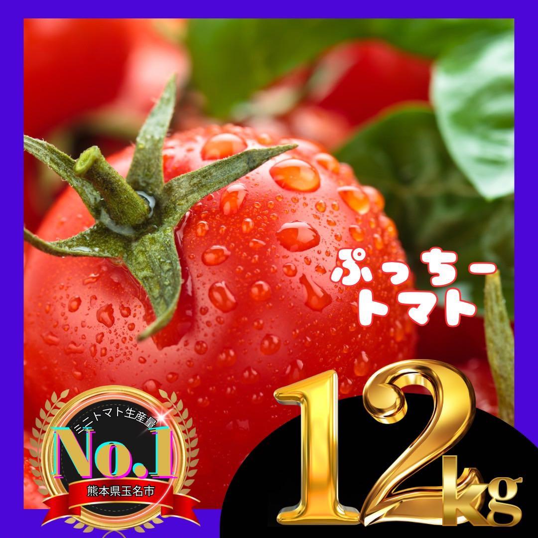 ミニトマト　12キロ　野菜　熊本　おやつ　弁当　おかず　ミネラル　リコピン