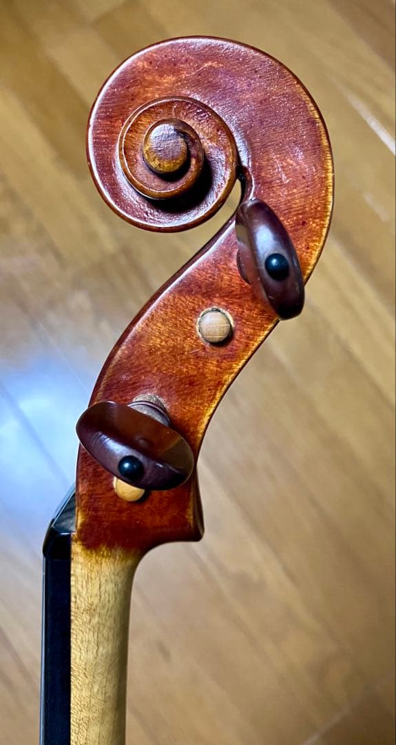 バイオリン本体(メンテナンス済み)