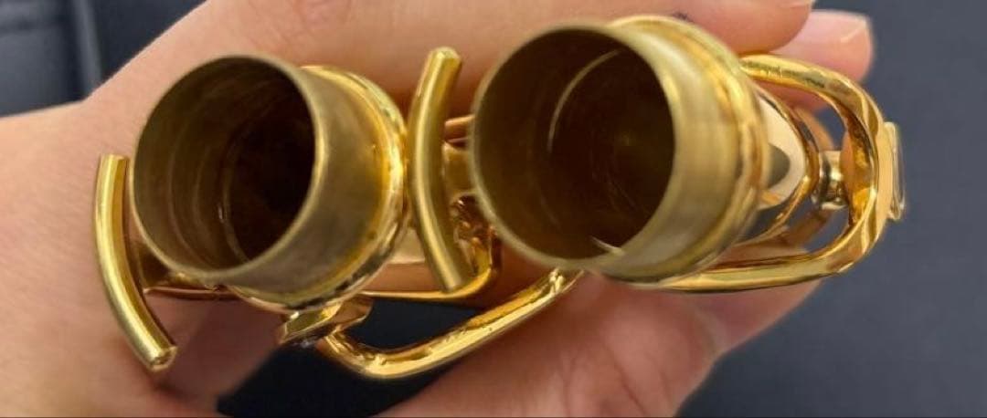 ソプラノサックス 本体 ソフトケース付き