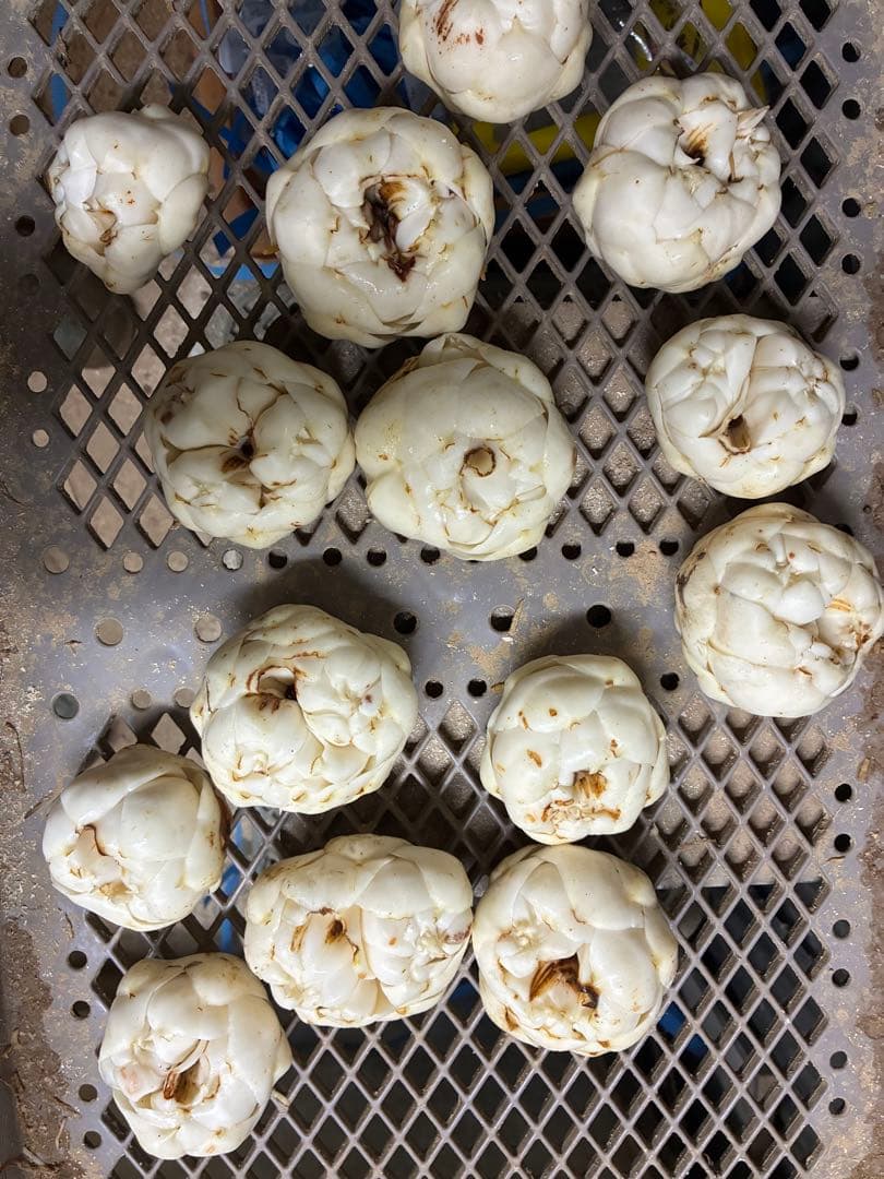 規格外百合根　10キロ　特価