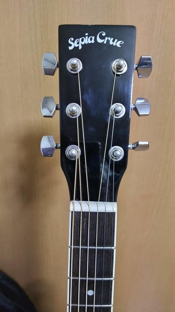 ❤️弦高調整済！「Sepia Crue セピアクルー WG-10 BK」＋ケース
