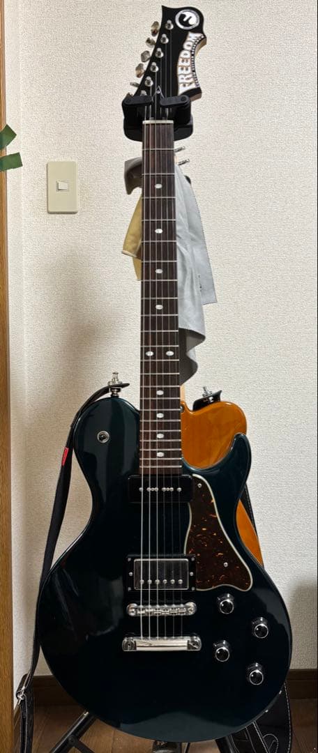 【Freedom】RRS 希少カラー