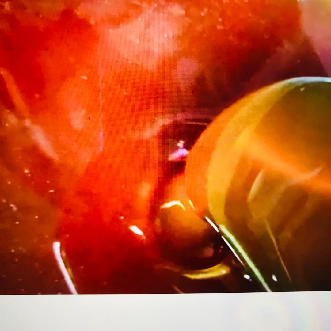 ハチミツ　日本蜜蜂の蜂蜜　純粋生の百花　非加熱無添加　560g入り2本