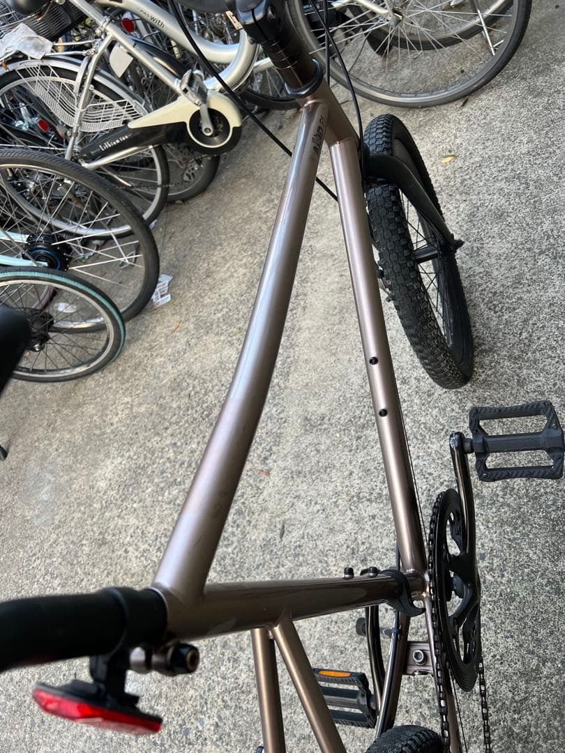 自転車本体 Tern AMP F1