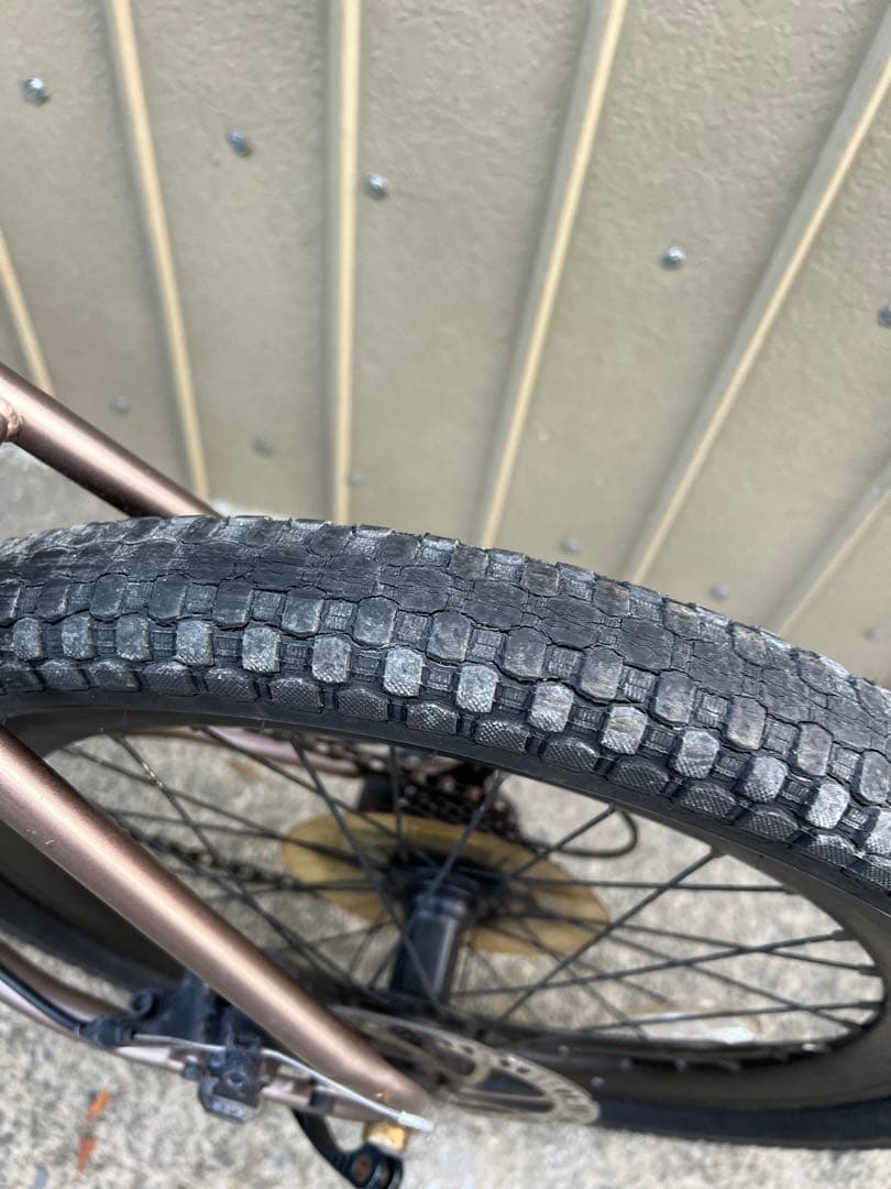 自転車本体 Tern AMP F1