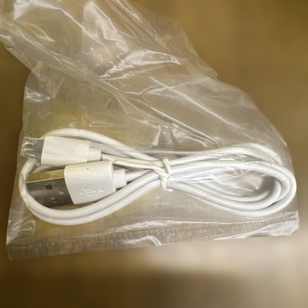 【限定品・レア・未使用】豊島屋　はとのひ　鳩の日　ハトの灯　ルームライト　取説付