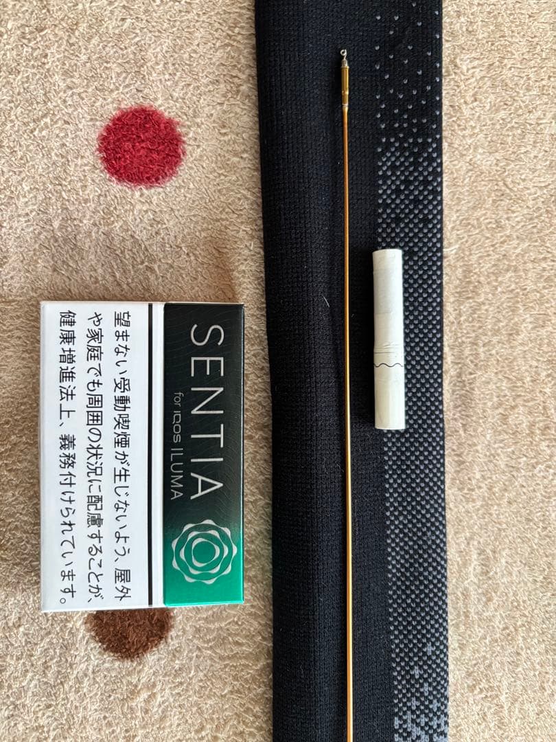 ダイワ銀影AUTO CRUISE90-93