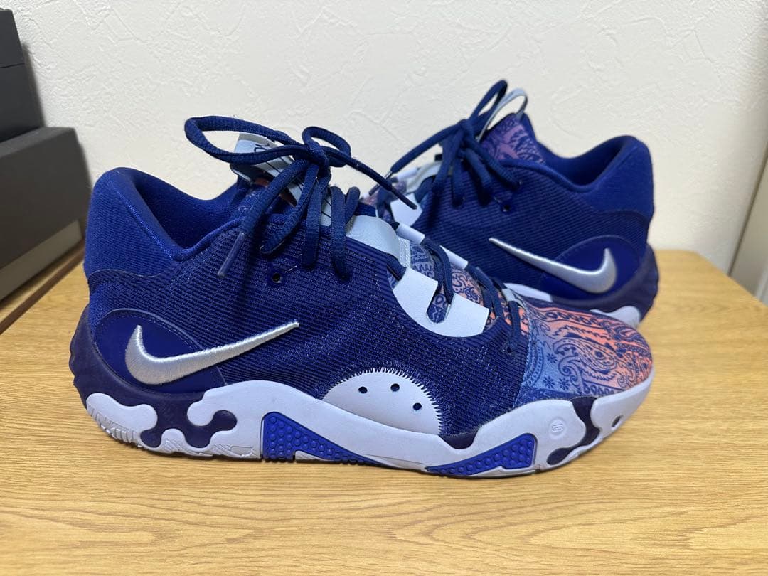 シューズ(男性用) NIKE PG6