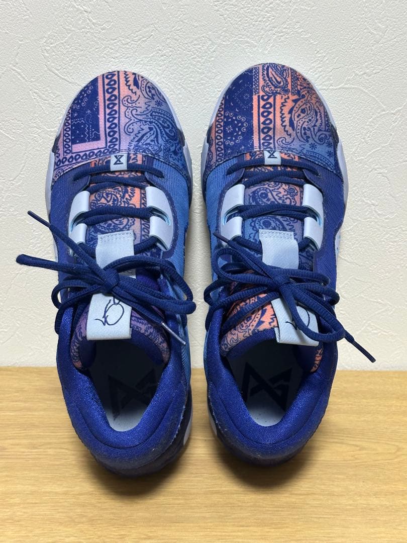 シューズ(男性用) NIKE PG6