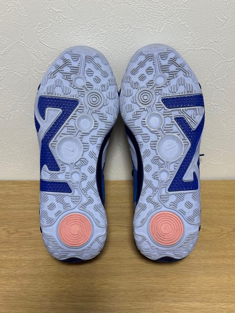 シューズ(男性用) NIKE PG6