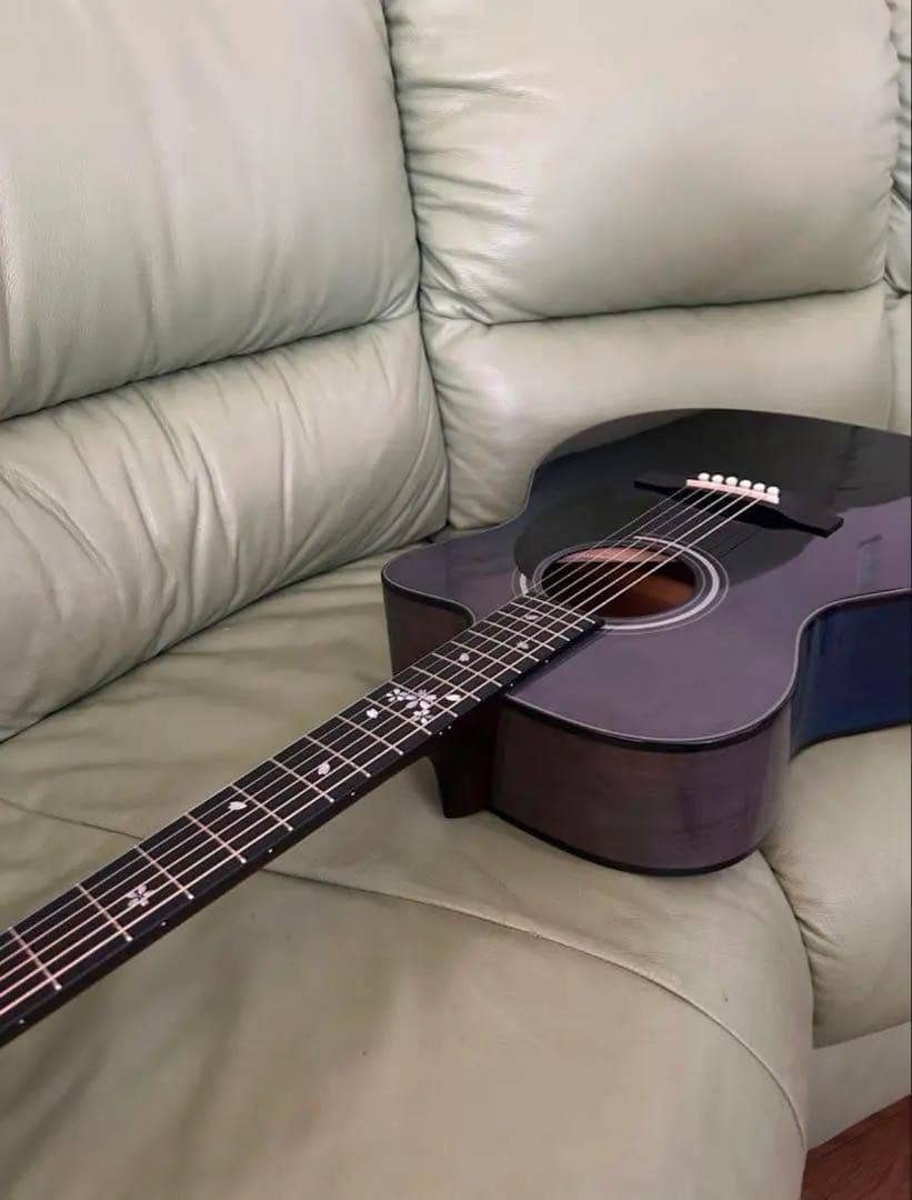 Headway ヘッドウェイ HOC-SAKURA/JS SBL-GRD アコギ