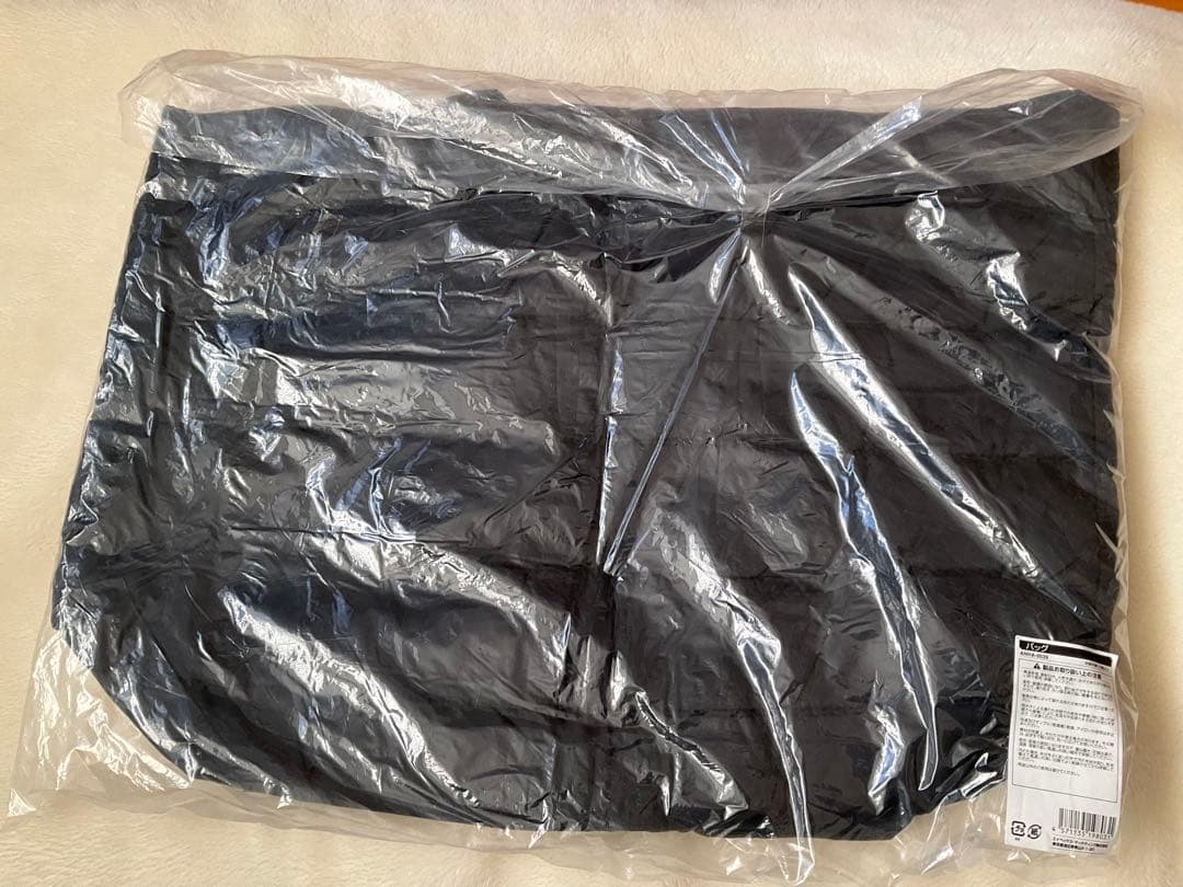 浜崎あゆみ　2010-2011 CDL～A do it again～ バッグ