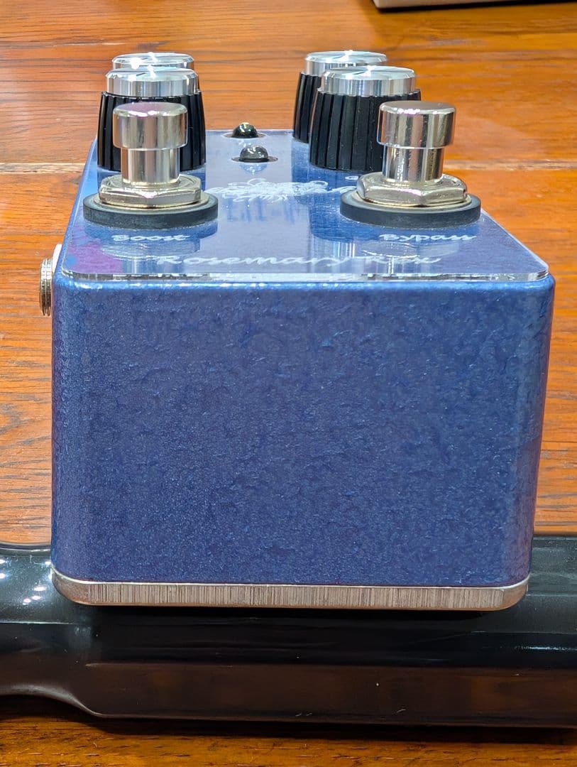 ギター Blackberry Jam Rosemary Rex