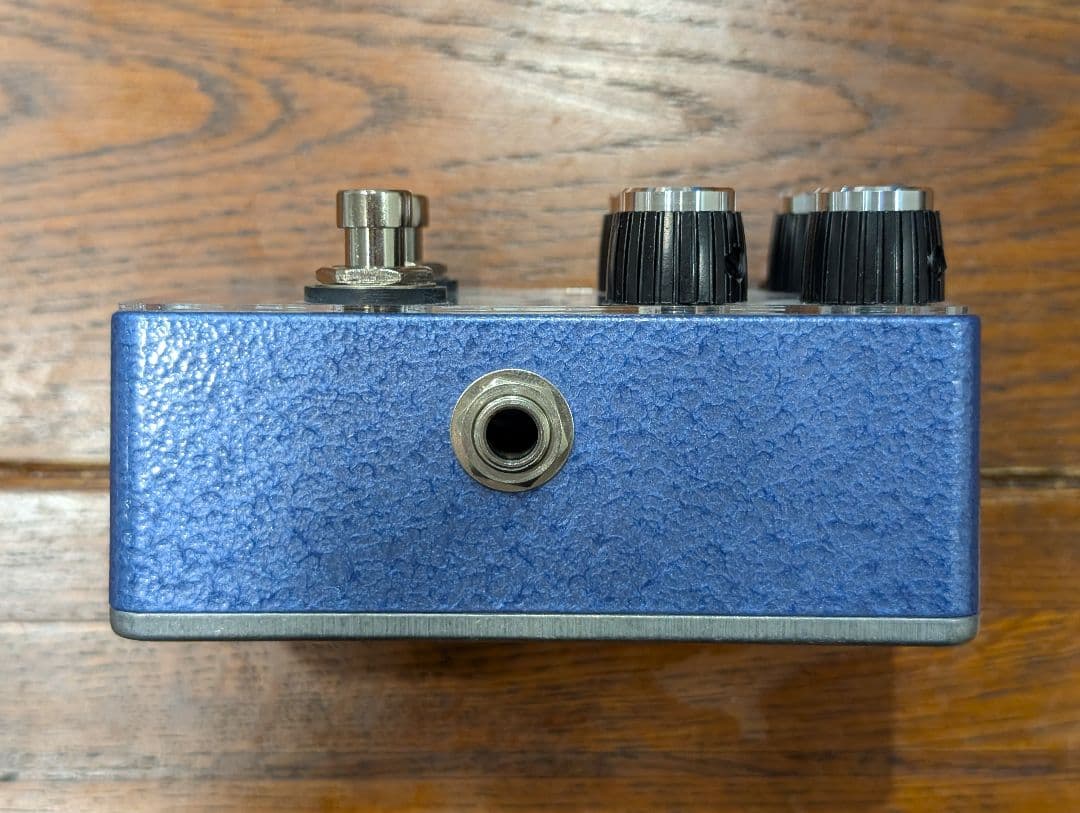 ギター Blackberry Jam Rosemary Rex