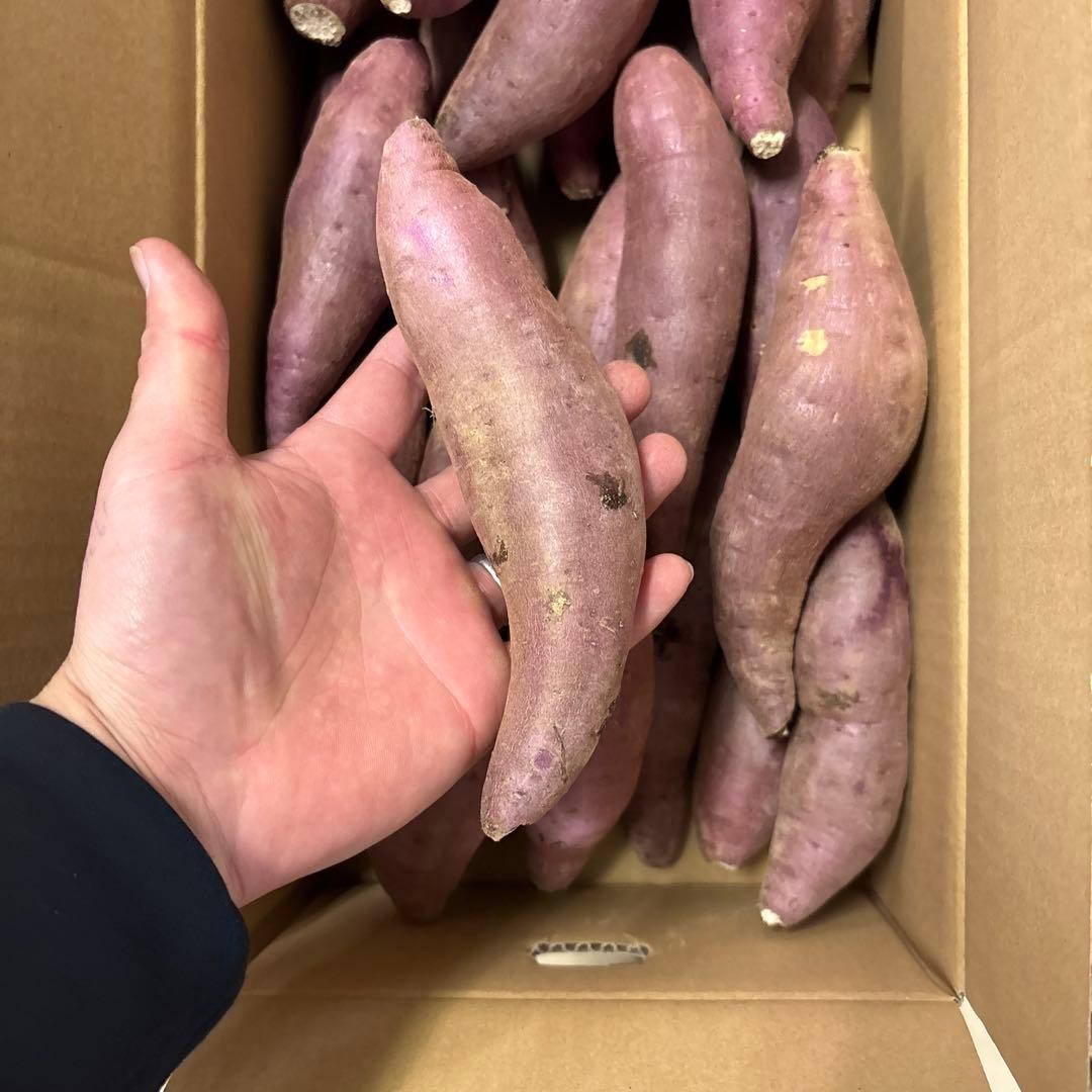 箱込み5キロ　農薬不使用　紅はるか「さつまいも」 Mサイズ