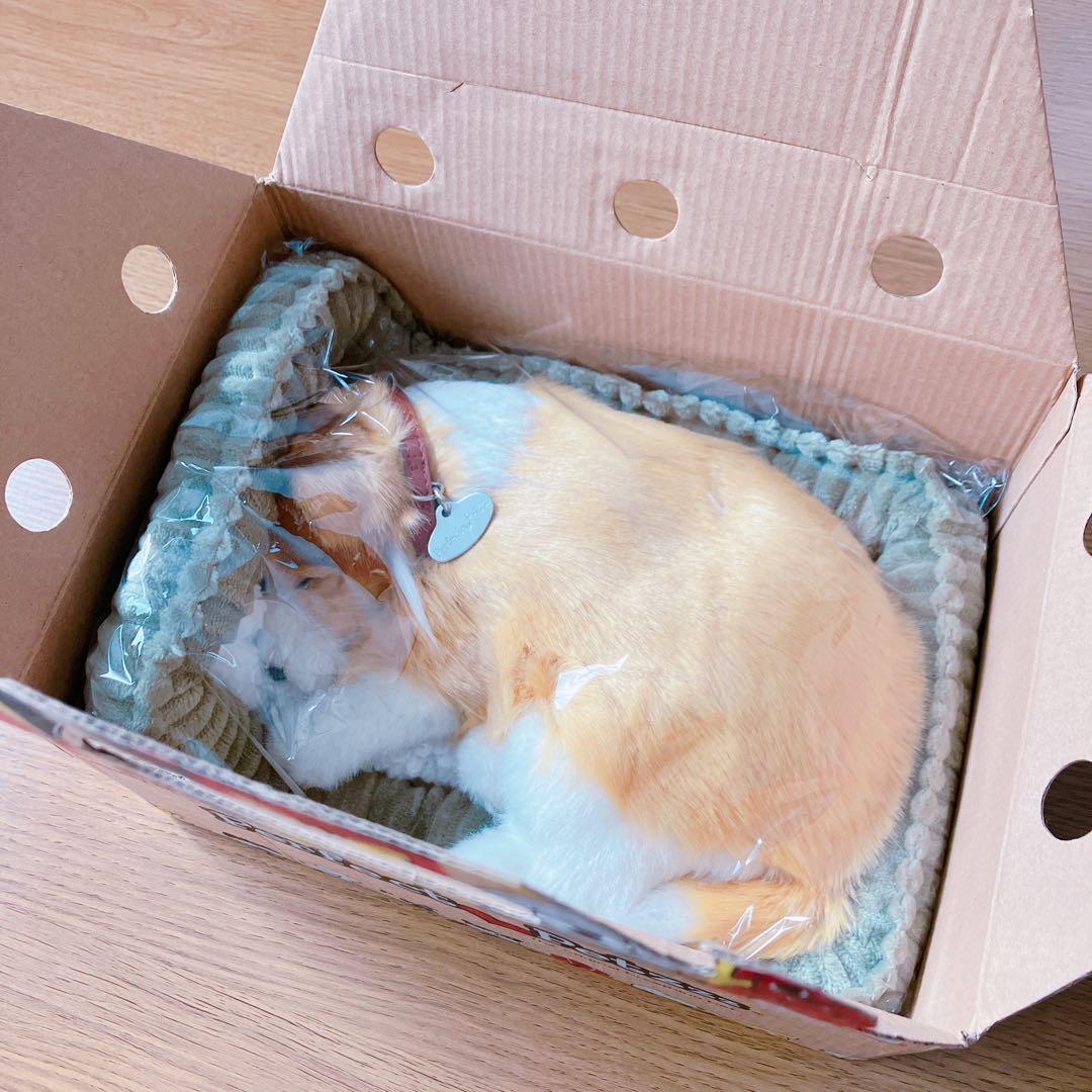 【新品】 ニニアンドキノ パーフェクトペット コリー 小型犬 リアル 動物