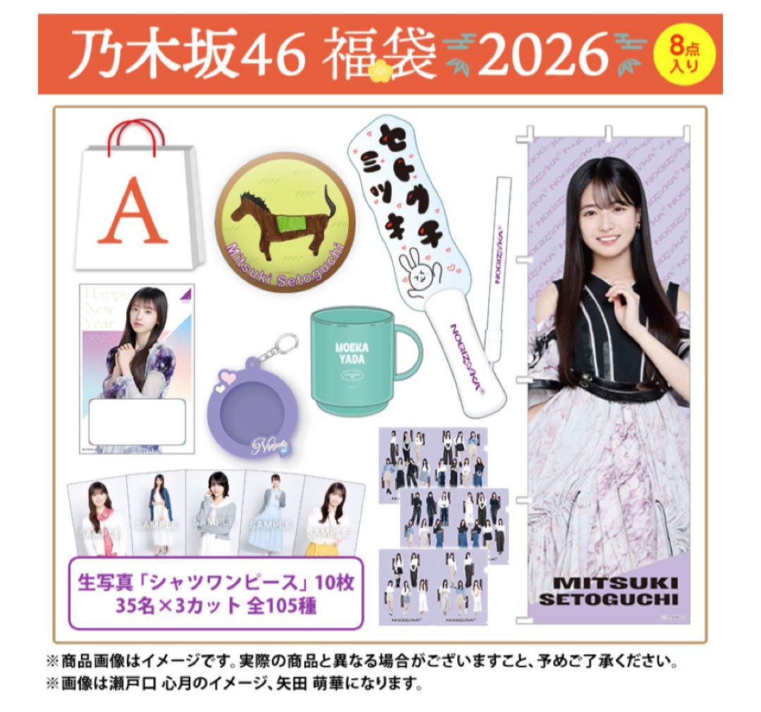 乃木坂46 池田瑛紗 lucky bag A グッズまとめ売り
